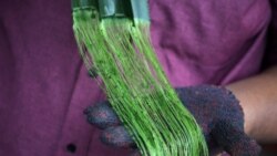 A student holds pineapple leaf fibres at a workshop of University Putra Malaysia. Picture taken December 15, 2020. (REUTERS/)