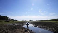 Cristopher Benegas, 12, fishes in what's left of the Payagua stream, a tributary of the Paraguay River, in Chaco I, Paraguay, early Friday, Aug. 27, 2021. (AP Photo/Jorge Saenz)