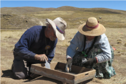 Excavations at Wilamaya Patjxa, Peru. (Photo: Randall Haas)