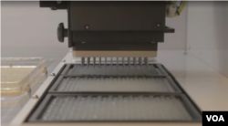 Zymergen uses computers to design experiments that change the genetic structure of microorganisms.