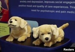 "เจนนี" หุ่นยนต์สุนัขรุ่นใหม่ที่ถูกออกแบบมาเพื่ออยู่เป็นเพื่อนผู้ที่ป่วยด้วยโรคอัลไซเมอร์หรือโรคสมองเสื่อม