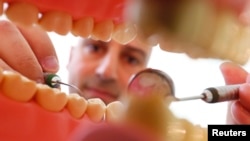 Dokter gigi Sevan Arzuyan berpose untuk gambar ilustrasi dengan model gigi di ruang bedahnya di Hanau, dekat Frankfurt, Jerman, 17 Maret 2016. (Foto:Ilustrasi) 