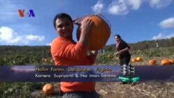 Mengamati Perkembangan Agribisnis di AS (3)