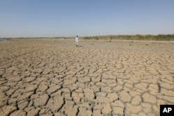 A fisherman stands on a dry ground in the Chibaish marshes during low water levels in Nasiriyah of southern Iraq on June 16, 2022. (AP Photo/ Nabil al-Jurani)