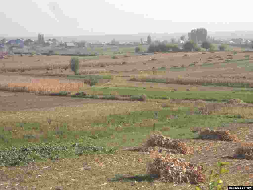 Pomir-Oloyga eltuvchi yo&rsquo;lning chetida shoir kuylagan qir-dalalar yastanib yotibdi.