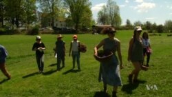 Foraging: The Ultimate Field-to-Table Experience