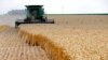US Farmers Suffer 'Body Blow' as China Slams Door on Farm Purchases