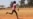 Kenyan Runner Aims for Olympic Gold