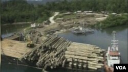 Forest Watchdog Monitors 