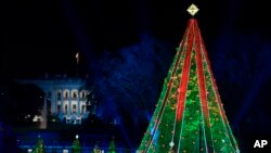 The National Christmas Tree in President's Park on the Ellipse in Washington, Nov. 28, 2018, with the White House in the background.