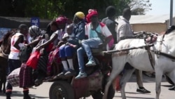 Thousands of Gambians Flee Ahead of Presidential Showdown