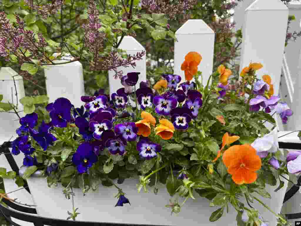 Gardening - Spring Checklist