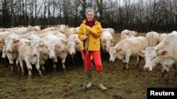 This cow breeder poses for a photograph with a herd of her cows in Beurizot, France, February 2017. (REUTERS/Benoit Tessier)