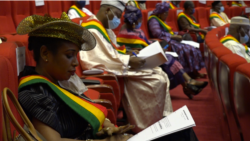 L'Assemblée malienne fixe de 6 mois à 5 ans la période de la transition