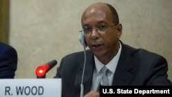 유엔 제네바 주재 미국대표부의 로버트 우드 군축담당대사.