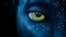 'Avatar,' a film by director James Cameron