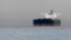 Malta-flagged Iranian crude oil supertanker "Delvar" is seen anchored off Singapore, March 1, 2012.