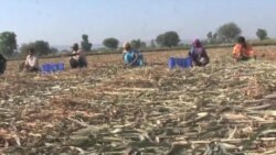 India Seeks to Balance Growth, Landowners’ Rights