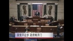 茶党不让步 政府难开门