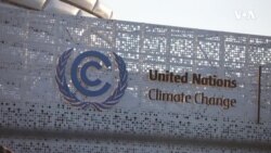 Cavid Qara: Azərbaycan neft-qaz gəlirlərini yeni enerji növlərinə istiqamətləndirməlidir