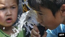 Manbalarga ko'ra, Markaziy Osiyoda har bir bola kamida bir turdagi gijja bilan zararlangan