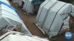 Estudo com mulheres raptadas revela características dos insurgentes