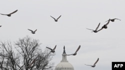 The US Capitol is seen in Washington, DC, on February 27, 2024.