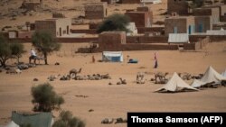 Des chameaux se reposent près d'Oualata en Mauritanie le 20 novembre 2018.