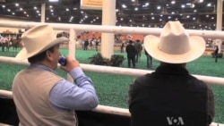 Hats Rule at Rodeo Time in Houston
