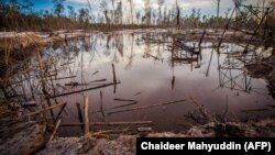 Gambar yang diambil di Kereng Pengi, Pontianak di Kalimantan Barat ini menunjukkan lokasi penambangan emas ilegal di mana para penambang menggunakan merkuri mencemari sungai dan tanah yang menyebabkan kerusakan lingkungan (foto: dok). 