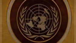 سازمان ملل متحد