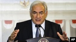 Managing Director of International Monetary Fund (IMF) Dominique Strauss-Kahn gestures as he speaks to the media during a press conference after his meeting with Indonesian President Susilo Bambang Yudhoyono at the palace in Jakarta, Indonesia, February 2