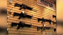Push for US Gun Reform Gets a Boost