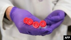 Hiromitsu Nakauchi's research centers on creating animal embryos that contain human cells. His team sought approval to grow human cells in animal embryos and then implant them into the uterus of animals. (AFP Photo/SAUL LOEB)