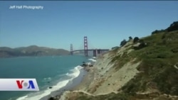 Silikon Vadisi'ndeki Başarılı Girişimci: Aykut Karaalioğlu