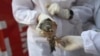 Asian Farmers Battle New Bird Flu Outbreak