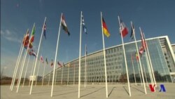 Xalqaro hayot - 26-iyun, 2018-yil - NATOning kengayishi alyansga kerakmi?