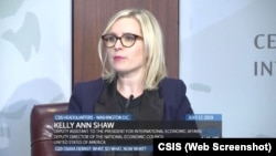 特朗普的贸易顾问肖恩今年7月在美智库CSIS参加讨论（视频截图）