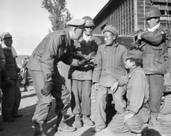 1950년 11월 미 해병대 조사관이 장진호 전투에서 붙잡은 중공군 포로를 한국군의 도움을 받아 조사하고 있다.