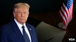  دونالد ترامپ، رئیس جمهوری پیشین ایالات متحده. آرشیو