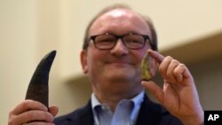 Professor Xans Diter Syus O'zbekistonda topilgan tiranozavr ajdodining tishini namoyish qilmoqda.