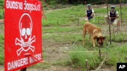 According to the International Campaign to Ban Landmines, 156 countries have signed an international mine ban and 108 have signed a convention against cluster munitions. 