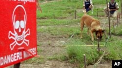 ជនរងគ្រោះ​ទាំង​បួន​នាក់​ត្រូវ​បាន​បញ្ជូន​ទៅ​ព្យាបាល​នៅទីក្រុង​បាងកក​ប្រទេស​ថៃ។​