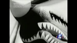 飞虎队老兵2013年聚会 