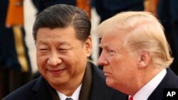 Presiden AS Donald Trump dan Presiden China Xi Jinping saat bertemu di balai Rakyat China di Beijing, China, 9 November 2017. (Foto: dok).