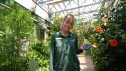 Dayna Cooper, Curatorial Director