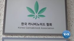 South Korea Takes a Baby Step Toward Medical Cannabis Legalization