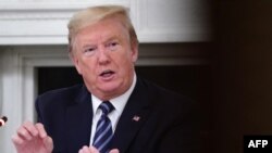 도널드 트럼프 미국 대통령이 8일 백악관 행사에서 발언하고 있다.