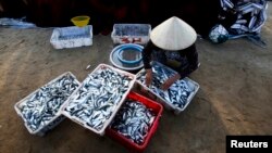 FILE - A woman sorts fish on Ly Son island, in Vietnam's central Quang Ngai province, July 2, 2014. Vietnam is investigating a massive fish kill at aquatic farms and in waters off the country's central provinces that state media reports, April 27, 2016, have tied to alleged toxic discharges coming from a steel complex built by Taiwan's Formosa Plastics. 