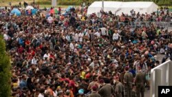 Para migran antri menunggu bis setibanya di perbatasan antara Austria dan Hungaria dekat Heiligenkreuz, 180 kilometer selatan Wina, Austria (19/9).